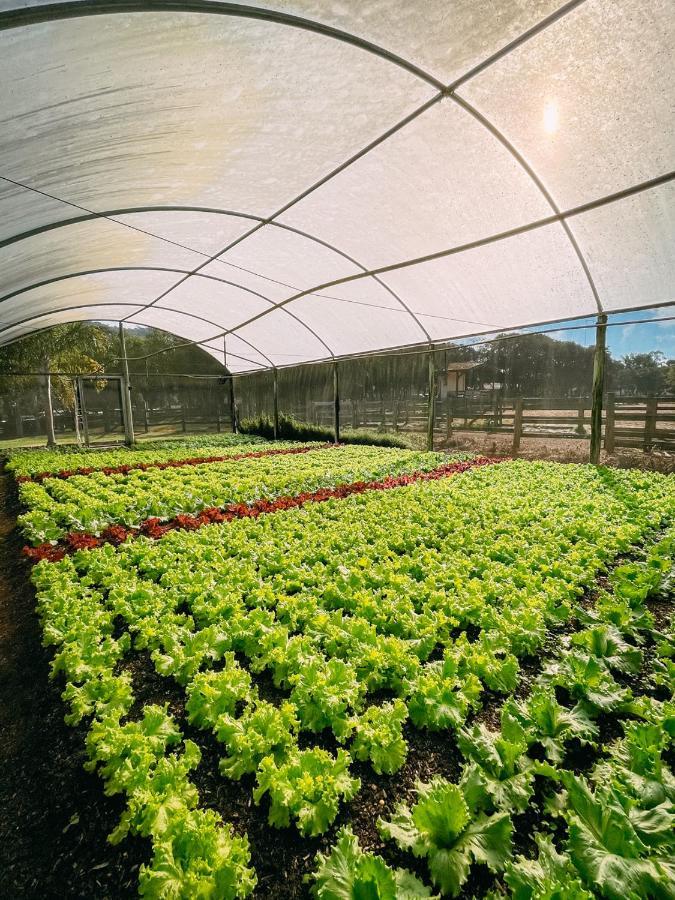 Hotel Fazenda Vale Da Mantiqueira Virgínia Zewnętrze zdjęcie